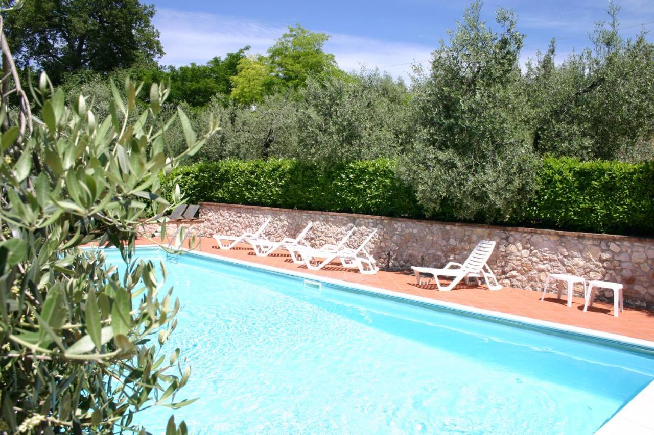 Agriturismo Oliveto Di Geltrude Contessa 아멜리아 외부 사진