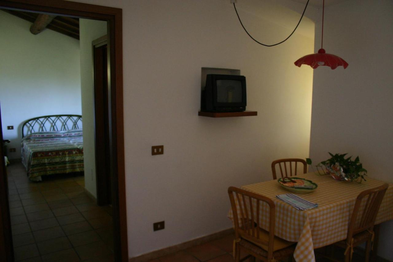 Agriturismo Oliveto Di Geltrude Contessa 아멜리아 외부 사진