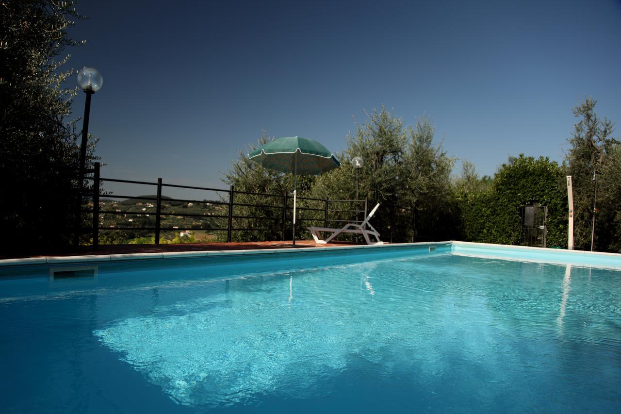 Agriturismo Oliveto Di Geltrude Contessa 아멜리아 외부 사진