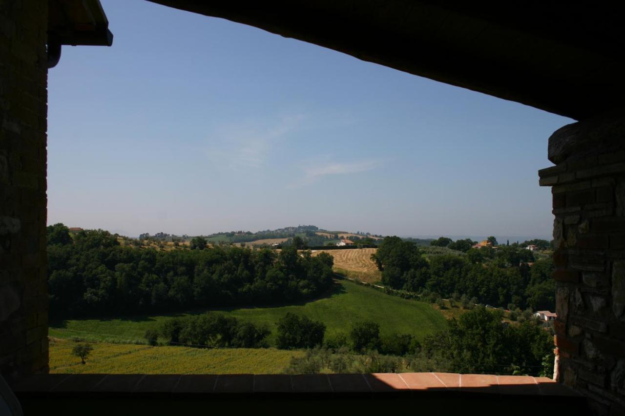Agriturismo Oliveto Di Geltrude Contessa 아멜리아 외부 사진